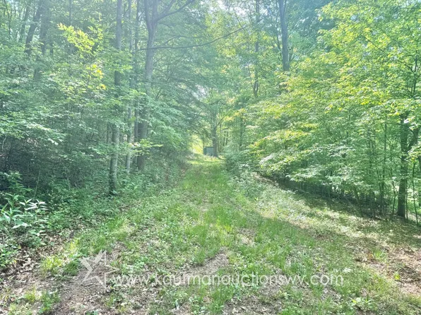 0 Big Pigeon Rd, Procious, WV 25164