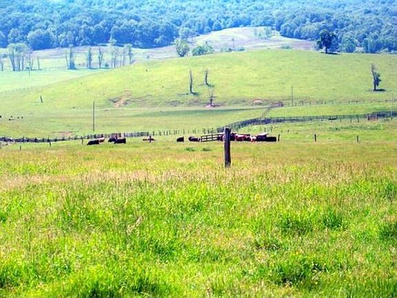 SE to Back Creek Mt.