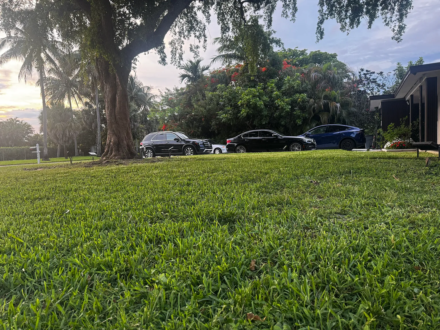 5 bed, 2174 sqft, $5,500 — Photo 4