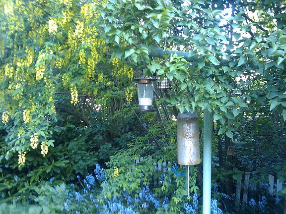 English Garden on north side 