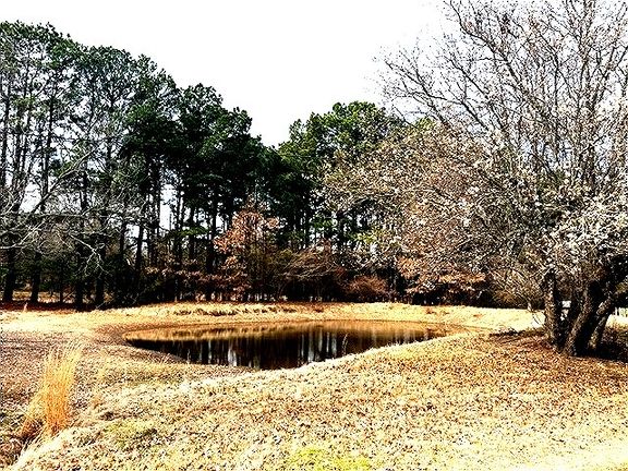 4th image of 1525 Mansfield Rd