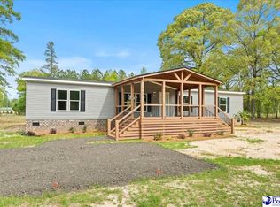 1068 Andrews Mill Rd, Lamar, SC 29069