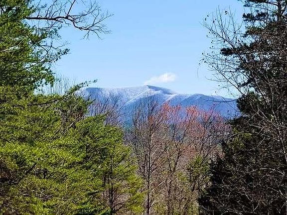 4th image of 260 Deer Ridge Trl