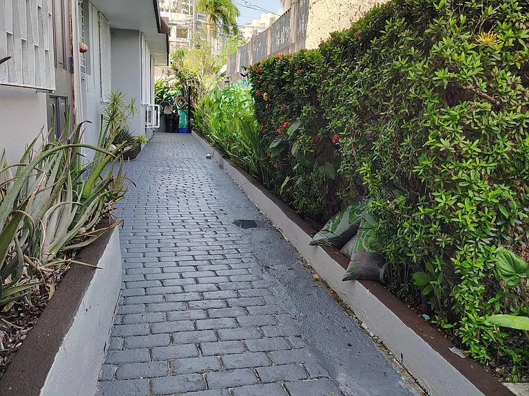 314 Manuel F Rossy — Photo 3
