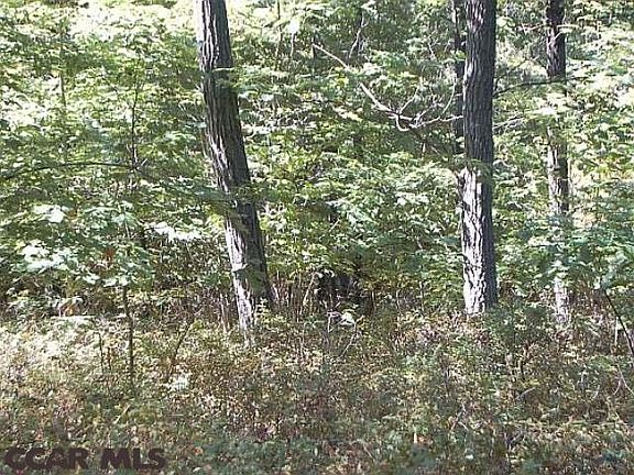 3rd image of ON Orvis Beckwith Ln