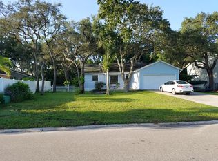 790 Ohio Ave, Palm Harbor, FL 34683