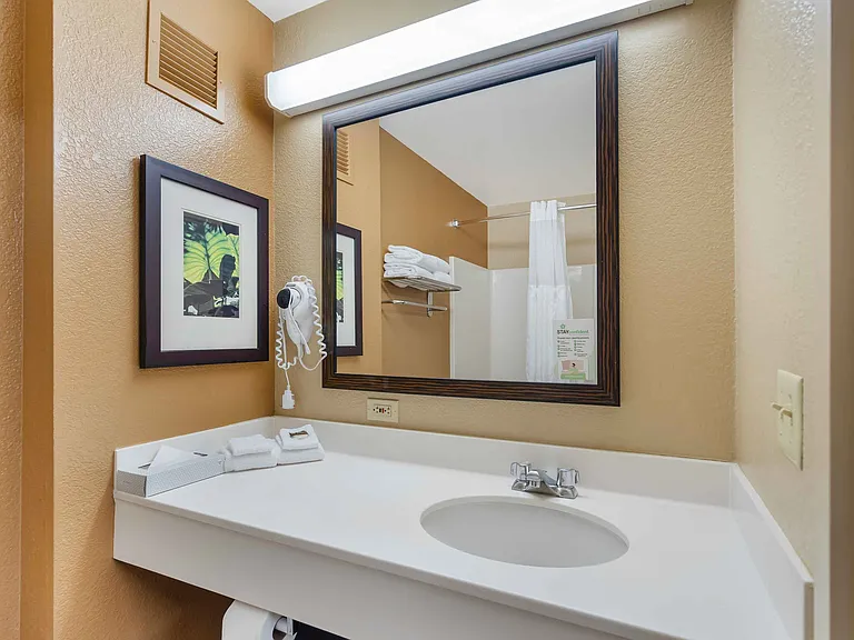 1 Bedroom Suite - 1 King Bed