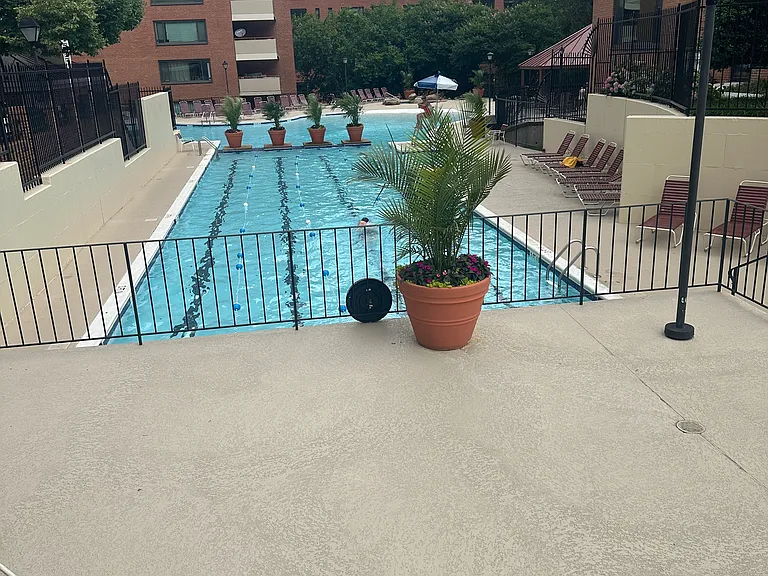 1021 Arlington Blvd #97 — Photo 4