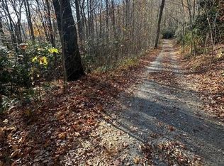 Tbd Greybeard Trl, Montreat, NC 28757