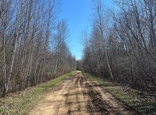 0 Chippewa Trl, Cass City, MI 48726