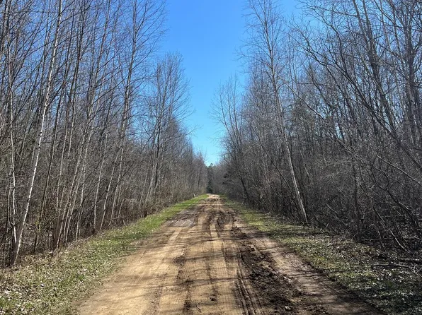0 Chippewa Trl, Cass City, MI 48726