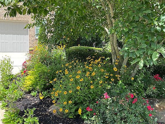 Landscaping light throughout