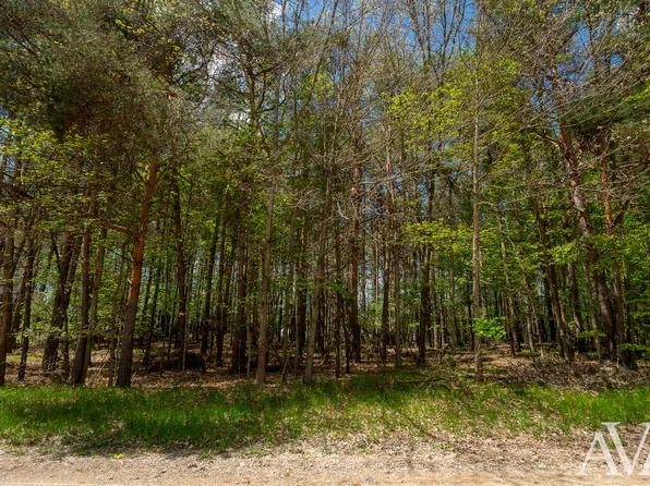 7781 Lakeview Dr, Stanwood, MI 49346
