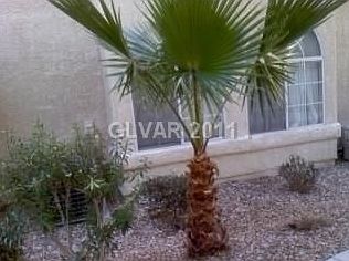 1st image of 2251 Wigwam Pkwy APT 1123