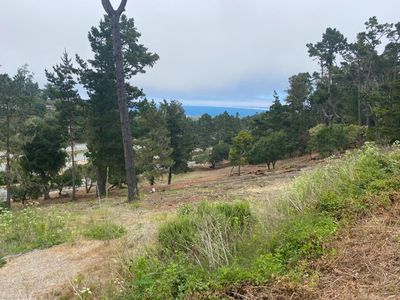 711 Viejo Rd, Carmel, CA, 93923