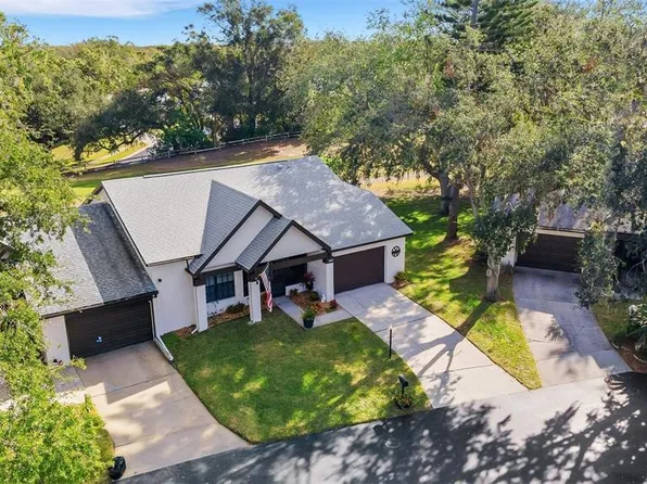 1488 Pheasant Creek Dr, Palm Harbor, FL 34684