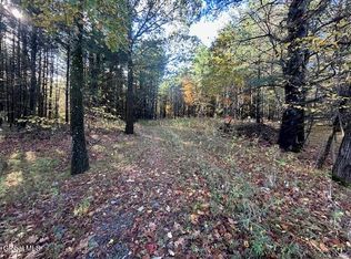 87 Le Loup Rd, Melrose, NY 12121