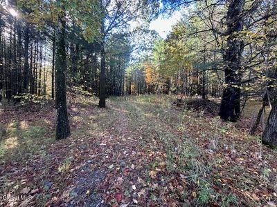 87 Le Loup Road, Melrose, NY, 12121