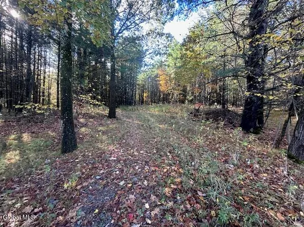 87 Le Loup Road, Melrose, NY 12121