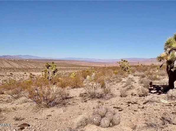 XXX N Wikieup Springs Road #-, Wikieup, AZ 85360