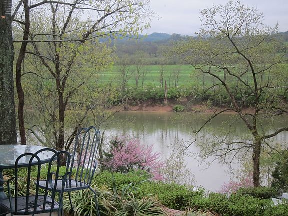 Early spring view from den