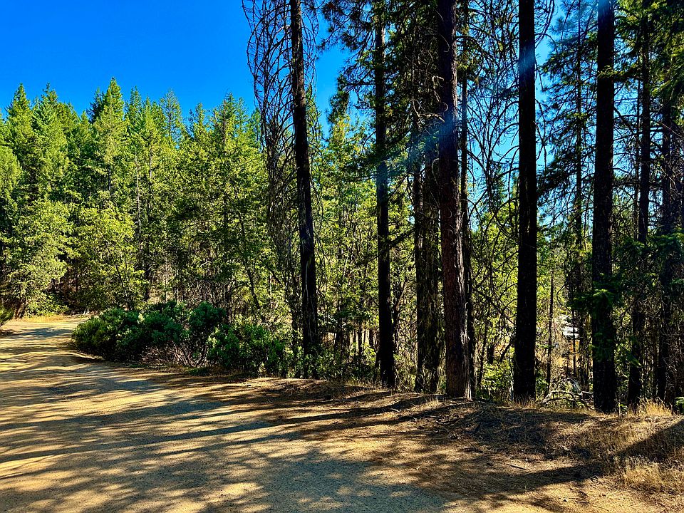 1st image of 1200 Pine Forest Dr