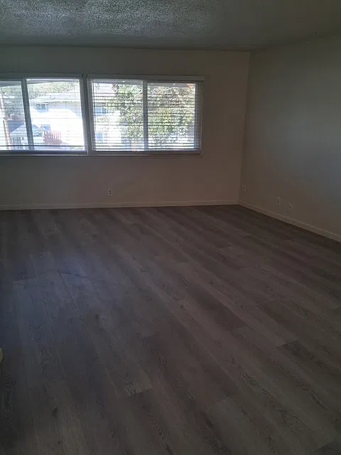 2 bed, 800 sqft, $1,450 — Photo 4