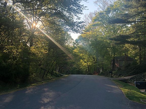 Spring sunrise walking down Highridge Street
