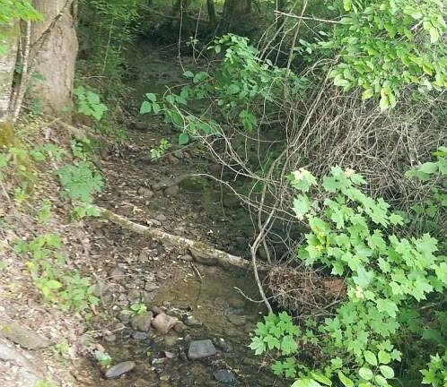 4th image of 1561 Jobey Green Hollow Rd