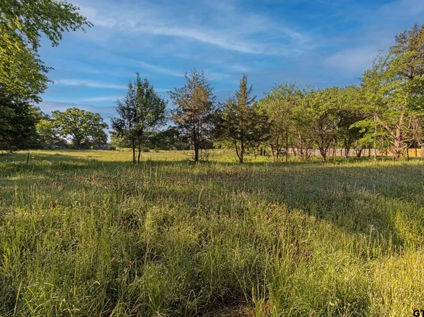 LOT 1 Pecan Dr, Bullard, TX 75757