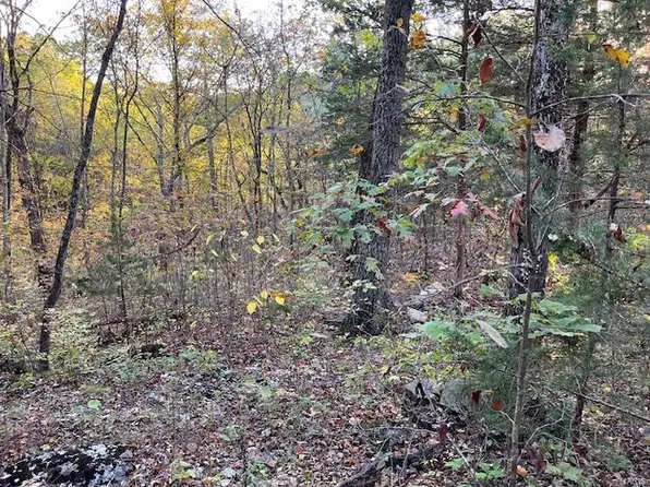LOT 532 Oak Dr, New Florence, MO 63363