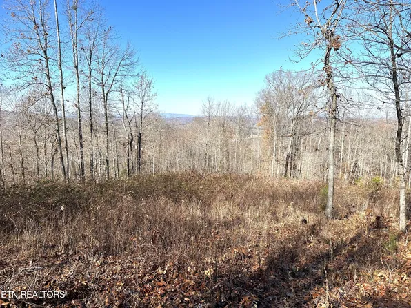 283 Tumbling Run Est, Maynardville, TN 37807