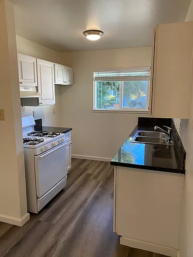 9841 Lincoln Village Dr Photo 1