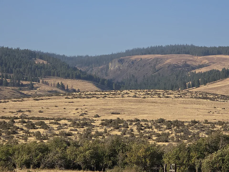 Reecer Creek Rd