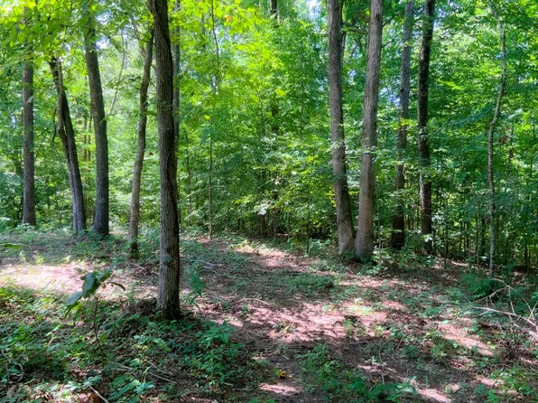 0 Deadwood Rd Lot 35, Dover, TN 37058