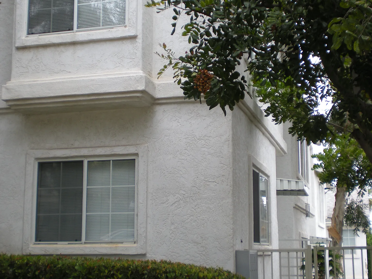 4 bed, 1250 sqft, $975 — Photo 2