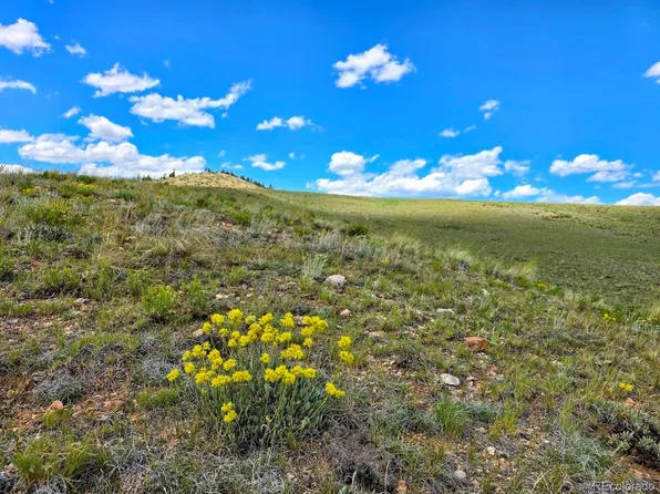 609 Commanche Trail, Hartsel, CO 80449
