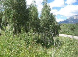 59 Angler Mountain Ranch Rd N, Silverthorne, CO 80498