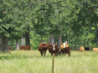 100 Hill Ranch Ln, New Waverly, TX 77358
