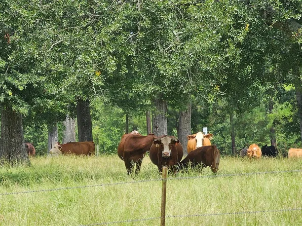 100 Hill Ranch Ln, New Waverly, TX 77358
