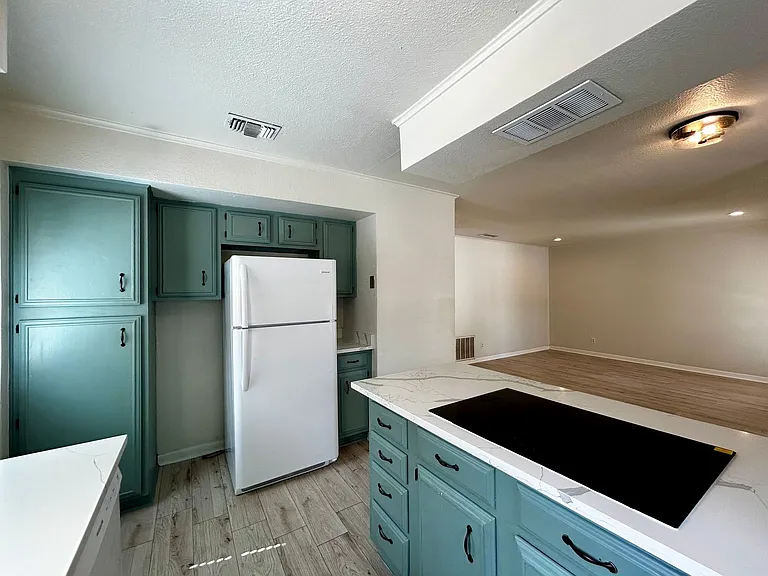 1005 W Martin Luther King Jr Blvd #B — Photo 20