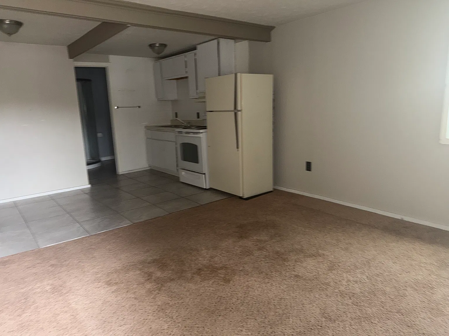 1 bed, $1,050 — Photo 3