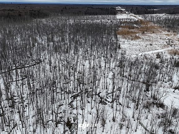 2nd image of Green Rd Lot 33