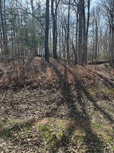 752 Teton Dr #752, Saulsbury, TN, 38067