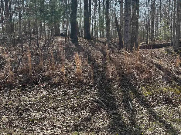 Glv752 Teton Cv W, Saulsbury, TN 38067