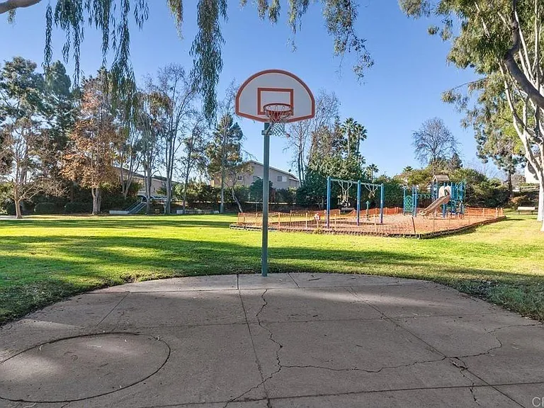 HOA park basketball hoop