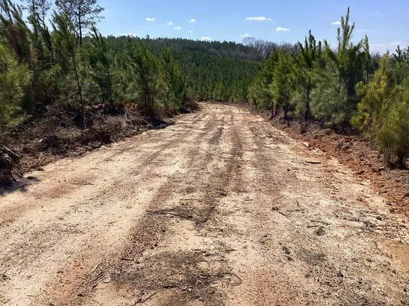 1 New Ebenezer Rd, Lapine, AL 36046