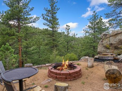 272 Mount Alice Ct, Livermore, CO, 80536