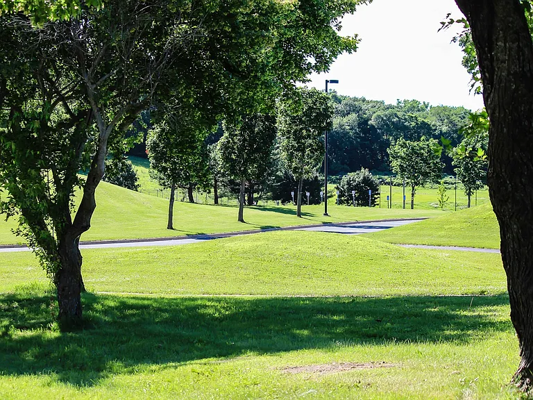 Tanager Creek — Photo 14