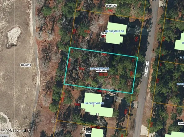 288 Chestnut Drive, Vass, NC 28394